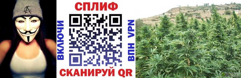 Наркота Жуковка Конопля Меф мяу мяу Alpha-PVP АМФ ГАШИШ