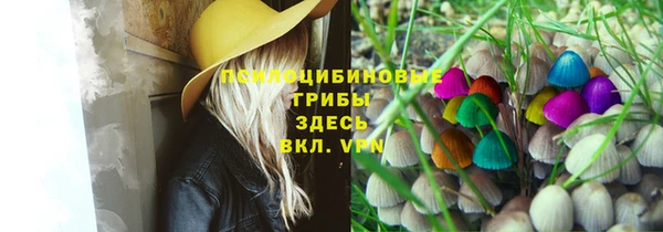 тгк Армянск