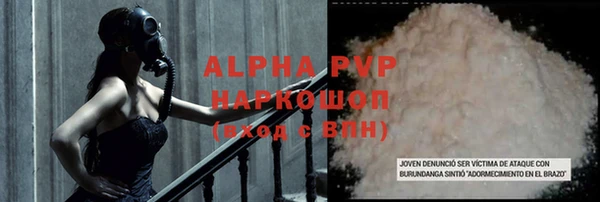 крисы Баксан