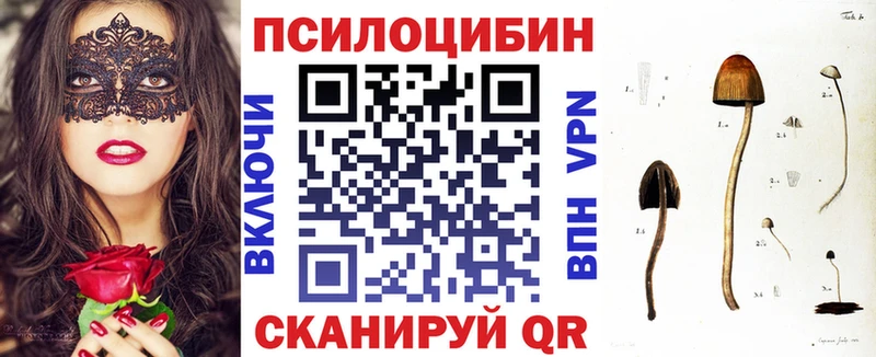 Псилоцибиновые грибы Psilocybine cubensis  Жуковка 